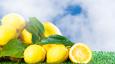 تفسير رؤية الليمون الأصفر في المنام للنابلسي وابن سيرين