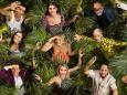 Kandidaten, TV-Termine, Stream: Dschungelcamp-FAQ: Alle Infos zur neuen IBES-Staffel