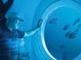 Für 120 Tage - Weltrekord: Deutscher lebt und arbeitet in Unterwasserwohnung