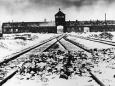 Historiker Piper zum 27. Januar: "Auschwitz übersteigt jedes menschliche Vorstellungsvermögen"