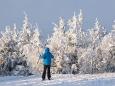 Kälterekord der Saison: Meteorologen messen minus 23 Grad im Erzgebirge