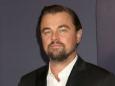 Regenwald-Rodung trotz Verbot: Leonardo DiCaprio kritisiert Australiens Regierung