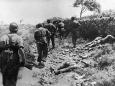 Bewunderung für Kreta-Eroberer: AfD-Politiker glorifiziert Hitlers Fallschirmjäger