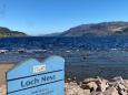 Das Phantom vom Loch Ness: Hunderte suchen wieder einmal nach "Nessie"