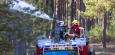 Hitze-Welle in Deutschland: Feuerwehr kämpft unter erschwerten Bedingungen gegen Waldbrände