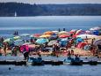 Nach Angriffen in Bayern: So gefährlich sind Welse für Badende