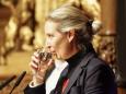 Satire ist Satire!: El Hotzo, Alice Weidel und Kurt Tucholsky gehen in eine Bar