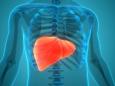 Häufig tödlich, oft vermeidbar: Experten sehen drastischen Anstieg von Leberkrebs
