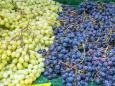 Krebsforscher begründet These: Warum Trauben zum Superfood gehören sollten