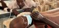 Sudan erlebt schwersten Cholera-Ausbruch seit Jahren
