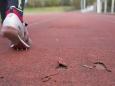 DOSB: "dringend benötigt": Regierung will Sportstätten mit einer Milliarde Euro fit machen