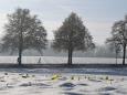 Eisig bis mild - und glatt: Deutschland gerät zwischen die Wetter-Fronten