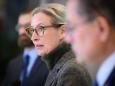 Verwandtenaffäre belastet: Stimmung bleibt düster, AfD verliert Punkt