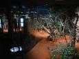 Dunkelbereich im Stuttgarter Zoo: Mysteriöse Verletzungen von Kindern geben der Polizei Rätsel auf