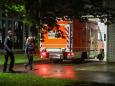 Keine Symptome: Hantavirus: Deutsche Passagierin wird in Düsseldorf untersucht