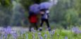 Wetter in Deutschland: Schauer und Gewitter – nasser Feiertag erwartet