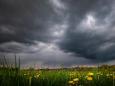Wetterwoche im Schnellcheck: Ab Dienstag freut sich vermutlich nur noch die Natur