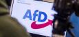 AfD: Verfassungsschutz darf gesamte Partei beobachten