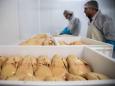 Stopfleber aus China?: Weltmarktführer Frankreich bekommt bei Foie Gras Konkurrenz
