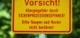 Eichenprozessionsspinner: Umweltminister hält Gifteinsatz für möglich