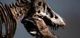 Sotheby's: Skelett von Tyrannosaurus rex für 43 Millionen Dollar versteigert