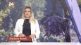 Gledajte '240 sekundi' 24sata: Svinjetina zbog kuge neće biti skuplja, a ministar će zaraditi