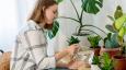 5 najčešćih razloga zašto vam kućne biljke umiru i kako to spriječiti