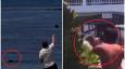 VIDEO Bahati turist kamenom gađao tuljanicu. Sustigao ga lokalac i prebio: 'Sad je heroj!'