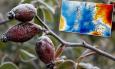 Veliki prodor hladnoće nad Europom: Stiže duboka ciklona i temperature neuobičajene za svibanj