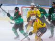 Vienna Capitals nič več s trenerjem Gerryjem Flemingom