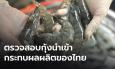 วอนตรวจสอบกุ้งนำเข้าจากเอกวาดอร์ หลังโผล่วางขายราคาถูก กระทบกุ้งไทย