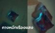 ปิดไฟแล้วช็อก คางปลาหมึกเรืองแสงได้ ที่แท้ไม่ใช่หมึกปลอม แต่เป็นหมึกติดเชื้อโรค