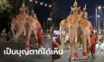 ไวรัล ช้างเผือก 3 เศียร เหมือนหลุดจากตำนาน คนแห่สาธุ ก่อนเจอคอมเมนต์ช็อตฟีล