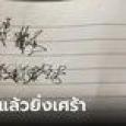 สาวโพสต์ถามโซเชียล พ่อเขียนแบบนี้ก่อนตายคืออะไร ชาวเน็ตช่วยแปลมีน้ำตาไหล