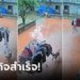 ฝนตกแต่มนุษย์ไม่อยู่บ้าน เจ้าตูบช่วยเก็บผ้าที่ตากไว้ ดูแล้วทึ่ง บังคับราวได้ชำนาญสุดๆ