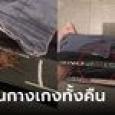 หนุ่มตื่นมามึนๆ ทำไมกางเกงขยับเองได้ ถอดออกมาเจอสาเหตุตัวเป็นๆ แถมมีพิษด้วย!