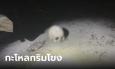 ยูทูบเบอร์ผงะ เดินถ่ายคอนเทนต์ริมโขง พบกะโหลกศีรษะมนุษย์ ของจริงไม่ใช่พร็อบ!
