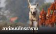 โซเชียลอาลัย 
