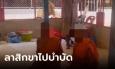 ไม่แผ่ว 2 พระวัดดังศรีสะเกษ ฉี่ม่วงรับเสพยาบ้า ลาสิกขาไปบำบัดรักษา