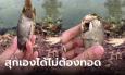 แดดไทยสร้างเรื่อง ตกปลาทิ้งไว้ 4 ชั่วโมง มาดูอีกทีพร้อมทาน สุกถึงเนื้อใน