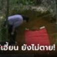 เมียเคารพหลุมศพผัว ขนลุกมีเสียงตอบกลับมา เปิดโลงพิสูจน์แทบกรี้ด ยังมีชีวิตอยู่ได้ไง?!