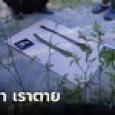 ลูกก็เลี้ยงให้ ใยมาฆ่ากัน! แฟนใหม่สู้กลับ ใช้มีดดาบฟันแฟนเก่าดับคาที่