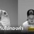 ไทยสร้างชาติ ปล่อยคลิป “ห่าน” เตือนสังคมสะท้อนนโยบายช่วยประชาชน
