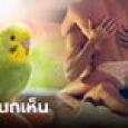 ผัวแทบทรุด ฝึกนกแก้วพูดภาษาคน นกเอาความลับไปฟ้องเมีย รู้หมดแอบแซ่บใครในบ้าน