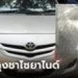 ตรวจถุงชาในรถ 