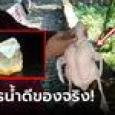 ผ่าเป็ดเจอหินใสๆ เมียบอกเอาไปทิ้ง ผัวชอบแอบเก็บไว้ กลายเป็นของดีราคา 400 ล้าน!