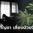 ผลวิจัยพบ 