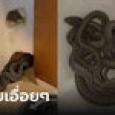 คุณแม่ร้องกรี้ด เก็บเงินทั้งชีวิตซื้อบ้านในฝัน ย้ายเข้าวันแรกเจอรังงูในกำแพง อย่างเบิ้ม