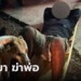 ทรพี ผีซาตาน! ลูกชายเมาฆ่าพ่อ น้อยใจคิดว่ารักไม่เท่ากัน กระทืบพ่อดับสลด
