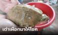 ฮือฮา เห็นแสงส่องจากหนองน้ำ งมเจอ 